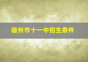 宿州市十一中招生条件