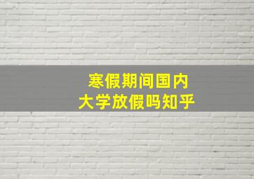 寒假期间国内大学放假吗知乎