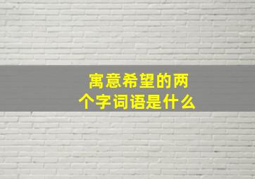 寓意希望的两个字词语是什么