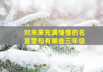 对未来充满憧憬的名言警句有哪些三年级