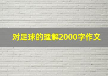 对足球的理解2000字作文