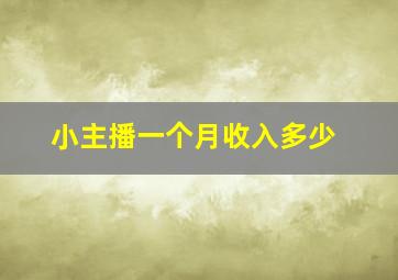 小主播一个月收入多少