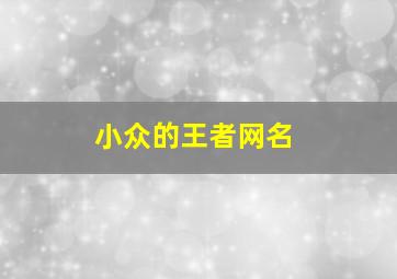 小众的王者网名