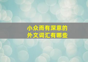 小众而有深意的外文词汇有哪些