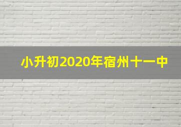 小升初2020年宿州十一中