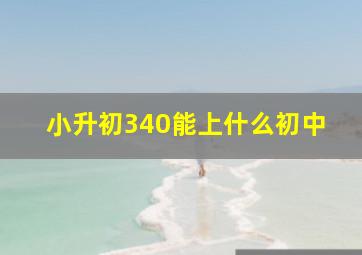 小升初340能上什么初中