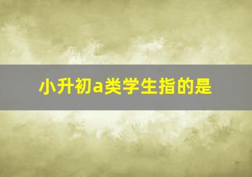 小升初a类学生指的是