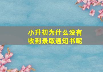 小升初为什么没有收到录取通知书呢