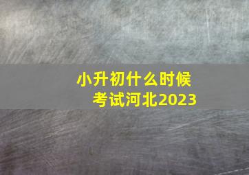 小升初什么时候考试河北2023