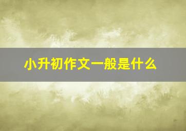 小升初作文一般是什么