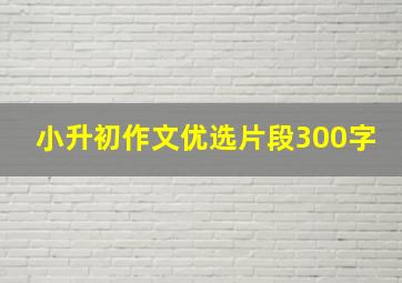 小升初作文优选片段300字