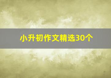 小升初作文精选30个