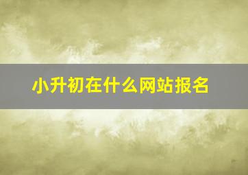 小升初在什么网站报名