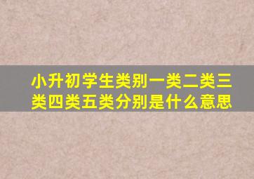 小升初学生类别一类二类三类四类五类分别是什么意思