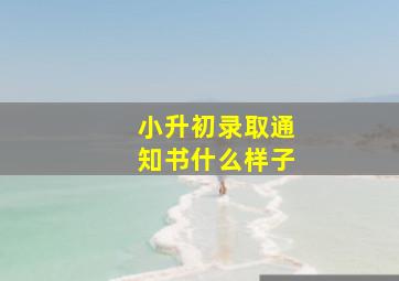 小升初录取通知书什么样子