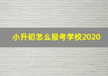 小升初怎么报考学校2020