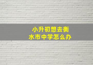 小升初想去衡水市中学怎么办