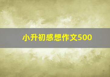 小升初感想作文500