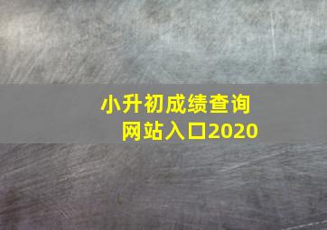 小升初成绩查询网站入口2020