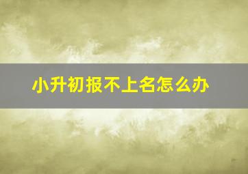 小升初报不上名怎么办