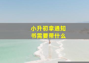 小升初拿通知书需要带什么