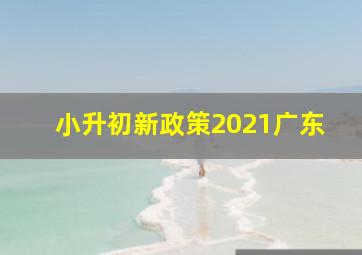 小升初新政策2021广东