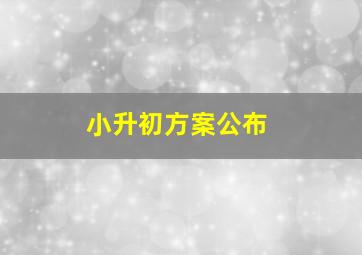 小升初方案公布