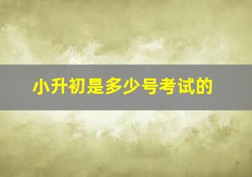 小升初是多少号考试的