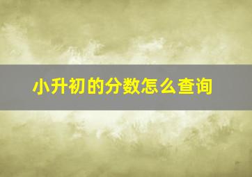 小升初的分数怎么查询