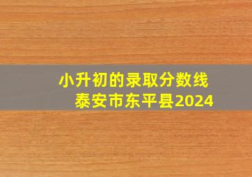 小升初的录取分数线泰安市东平县2024