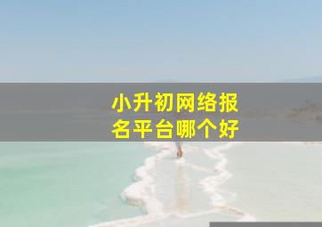 小升初网络报名平台哪个好