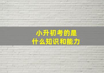 小升初考的是什么知识和能力