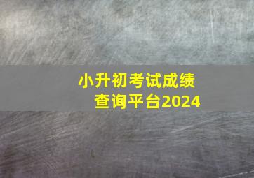 小升初考试成绩查询平台2024