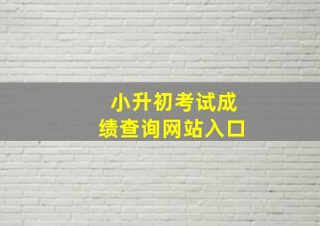 小升初考试成绩查询网站入口