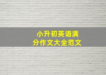 小升初英语满分作文大全范文