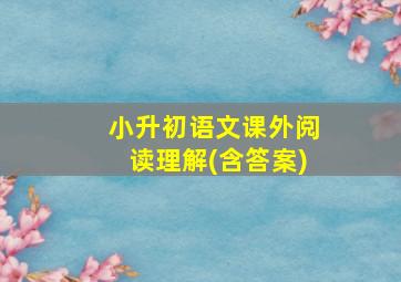 小升初语文课外阅读理解(含答案)