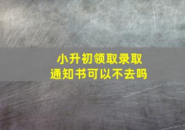 小升初领取录取通知书可以不去吗