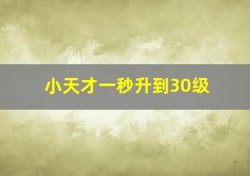 小天才一秒升到30级