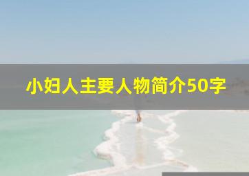 小妇人主要人物简介50字