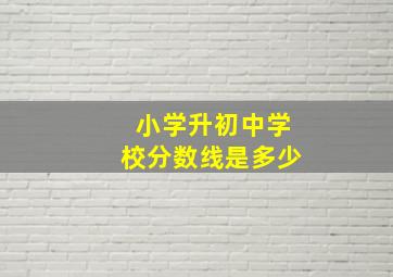 小学升初中学校分数线是多少