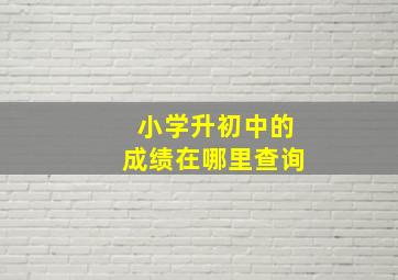 小学升初中的成绩在哪里查询