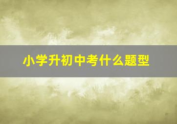 小学升初中考什么题型