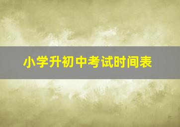 小学升初中考试时间表