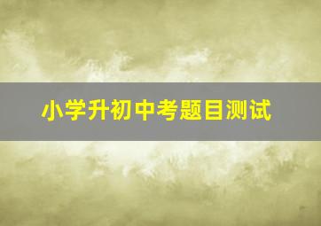 小学升初中考题目测试