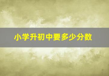 小学升初中要多少分数