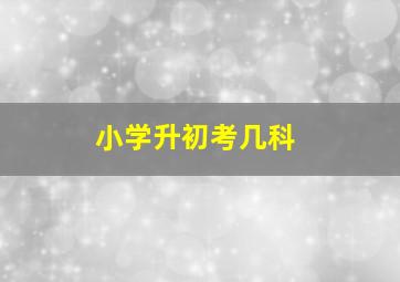 小学升初考几科