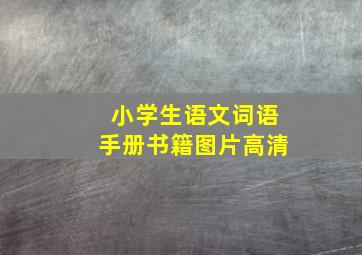 小学生语文词语手册书籍图片高清