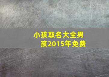 小孩取名大全男孩2015年免费