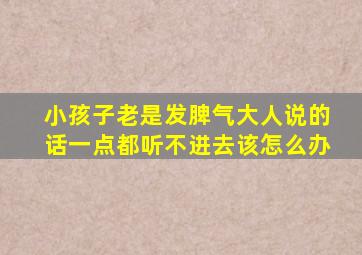 小孩子老是发脾气大人说的话一点都听不进去该怎么办