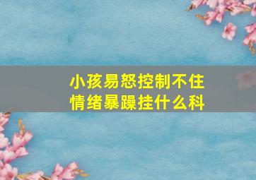 小孩易怒控制不住情绪暴躁挂什么科